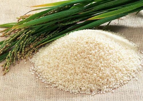 南京稻米产业协会打造“南京好大米”品牌